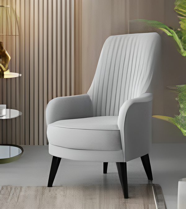 ÜSKÜP 2 KOLTUK TAKIMI