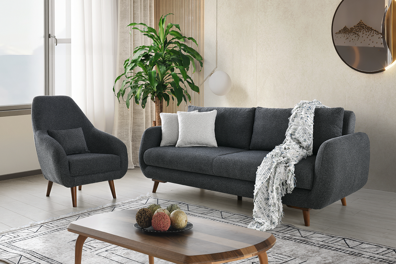 AŞİYAN KOLTUK TAKIMI